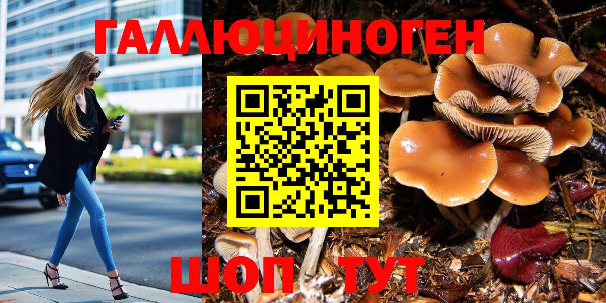 Псилоцибиновые грибы Cubensis  Вход с VPN  Родники 