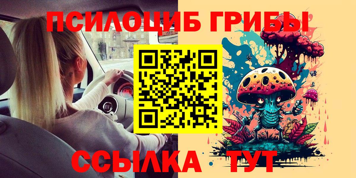 Галлюциногенные грибы Psilocybine cubensis Родники