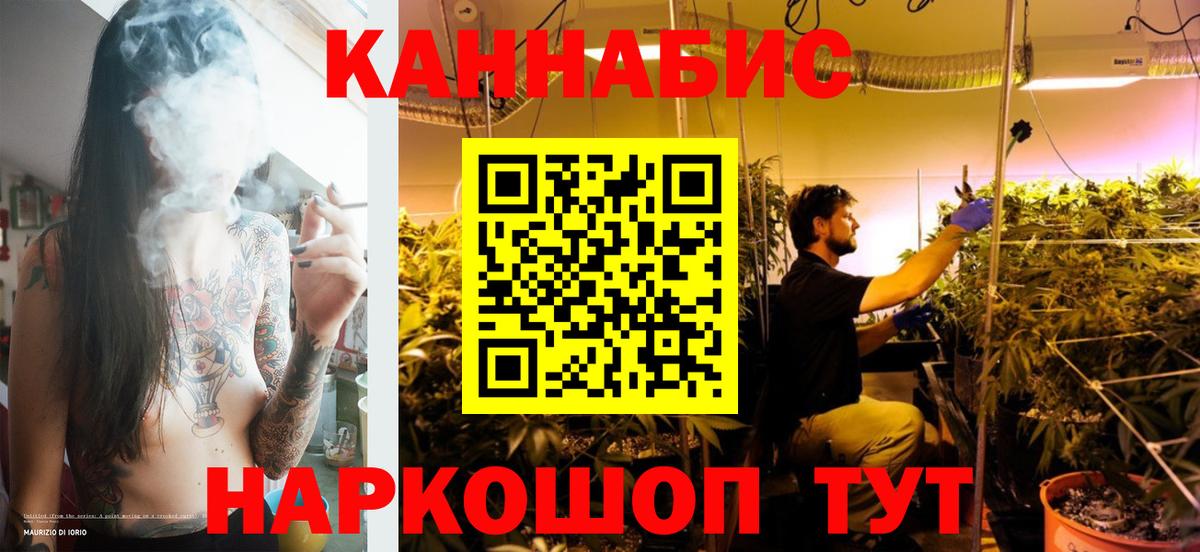 Каннабис AK-47 Родники